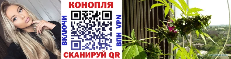 Канабис Ganja  Сусуман 